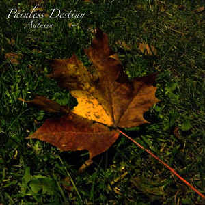 国产麻豆视频网站
