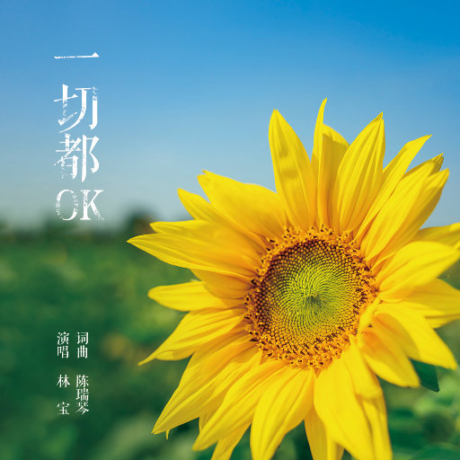 国产麻豆视频网站
